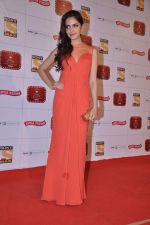 Shazahn Padamsee  at Stardust Awards 2013 red carpet in Mumbai on 26th jan 2013 (406).JPG